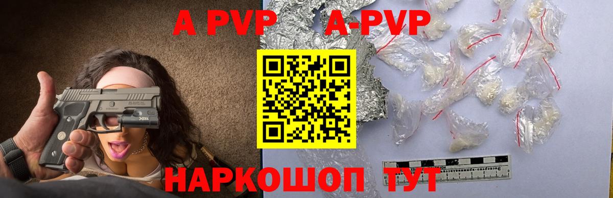 Альфа ПВП СК Дубна