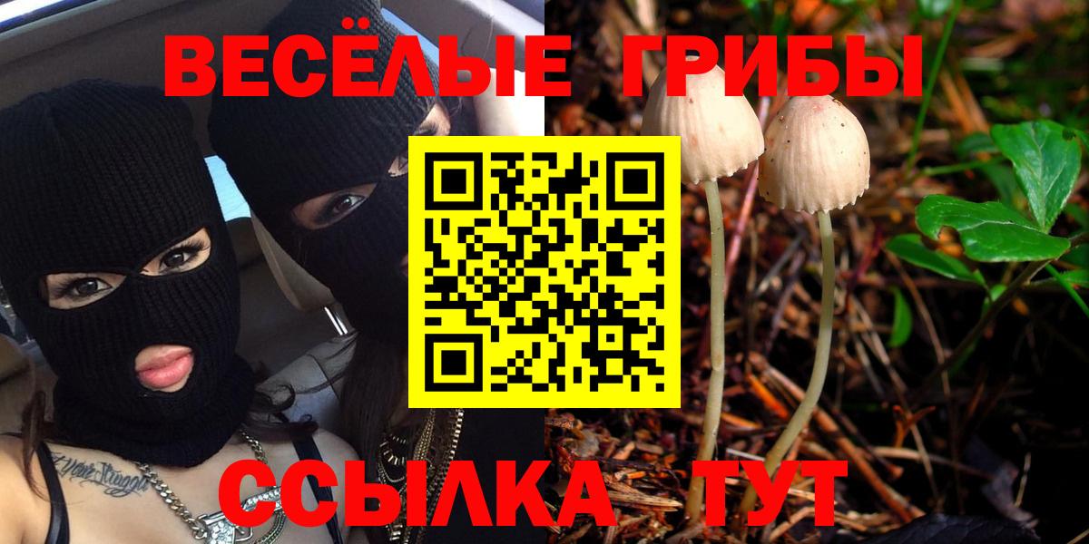 Псилоцибиновые грибы Psilocybine cubensis  Вход с VPN  Дубна 