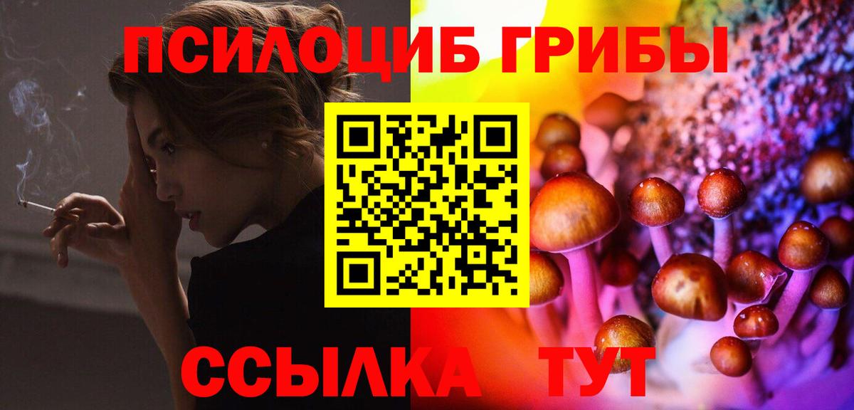 Галлюциногенные грибы Psilocybine cubensis Дубна